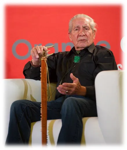 Oren Lyons sitting down wearing a black shirt, green bolo, and holding a cane.